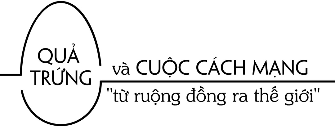 Thương hiệu Vàng