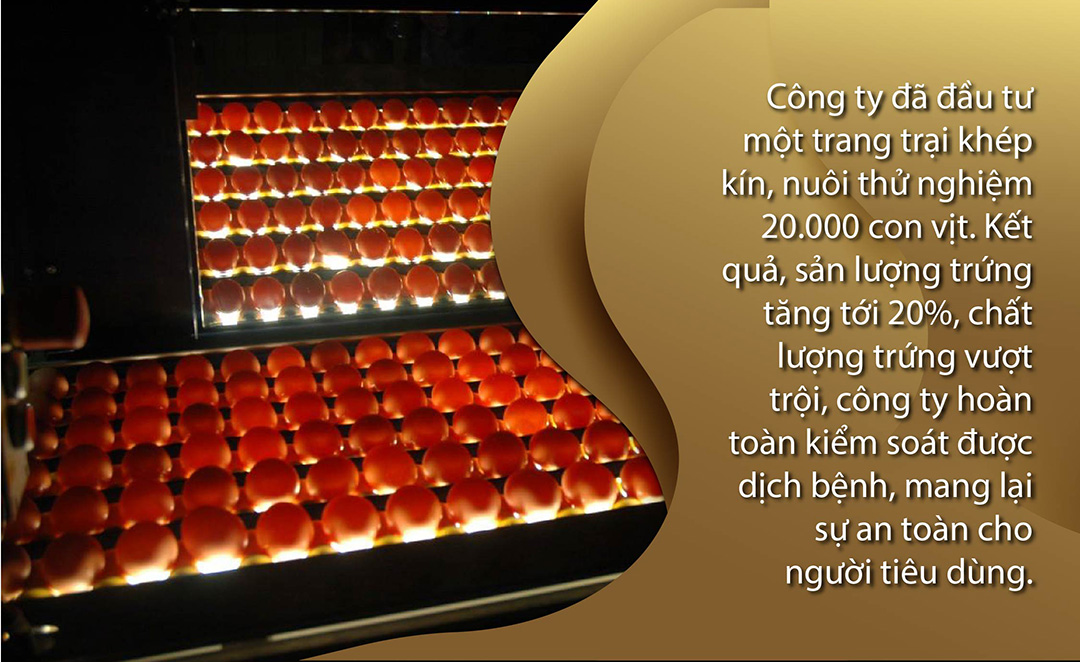 Thương hiệu Vàng